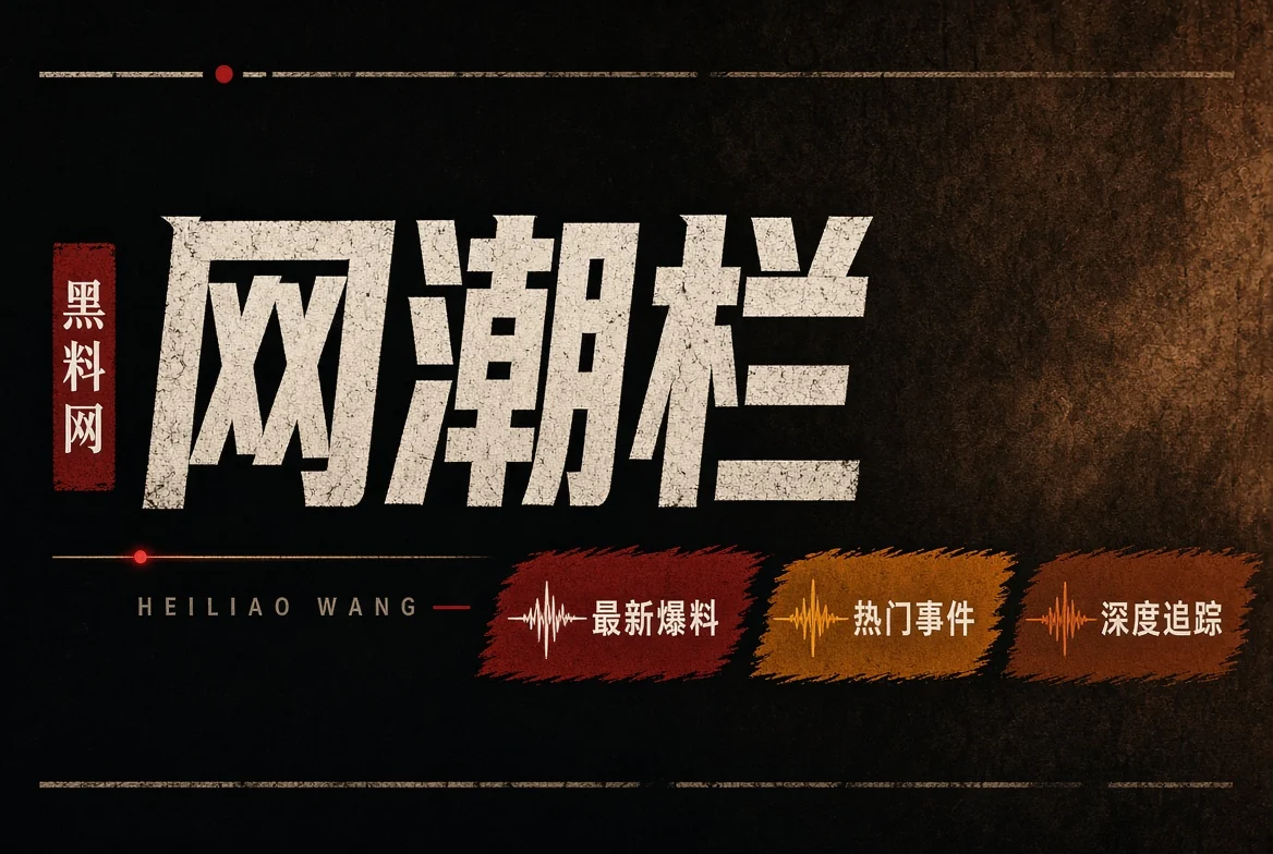 网潮栏内容导览